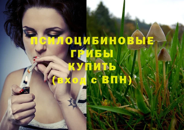 герыч Арсеньев