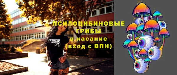 ешки Аркадак